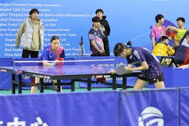 新秀拳手崭露头角